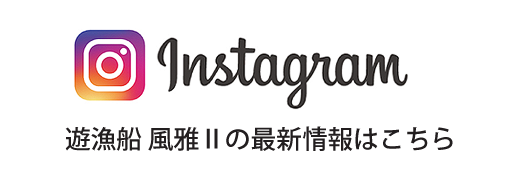 Instagram 風雅Ⅱ